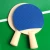 Import Sport Table Tennis Game Ping Pong Kids Children Family from China