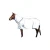 Import Summer Combo Horse Rug from India