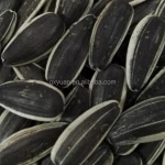 Sunflower seeds from China