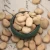 The best price of Broad/ Fava Beans is origin Gansu&amp;Qinghai NEW CROP2020