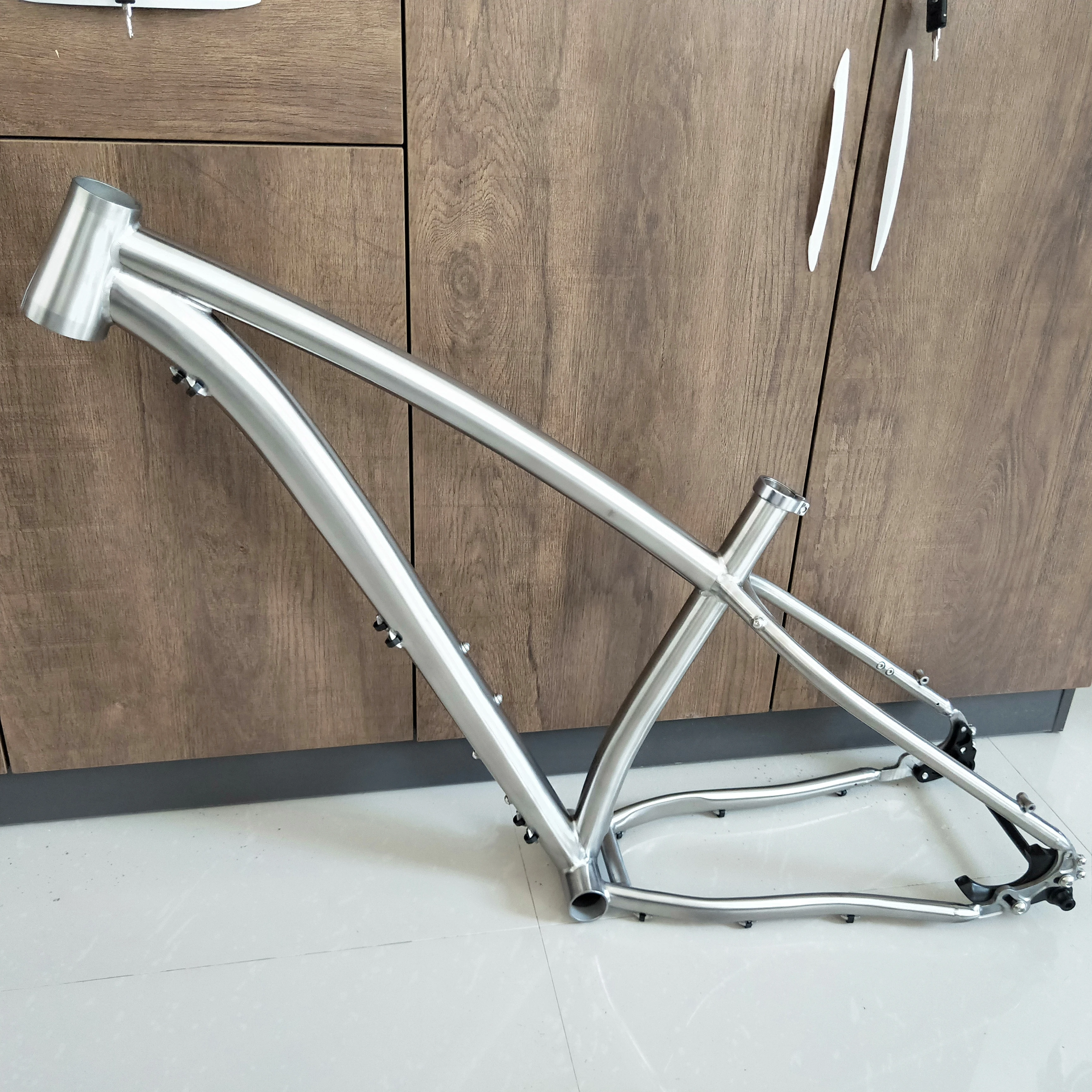 Titanium alloy fat bike frame L size 26"  197 hub with alloy titanium fork by PYTITANS