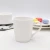 Import Top choice 20pcs square fine bone china porcelain dinner dinnerware set from China