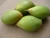 Import Totapuri Mango from India