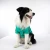 Import Travelling Lightweight Dog Raincoats Wear Dog coat with reflective stripe form Size XL to XXXXL from China