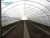 Tunnel Greenhouse Basic Farming Equipments agricultural machinery