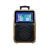 Import TV 10 inch  Portable Blue tooth Video Trolley Mini Wireless Speaker with led screen from China