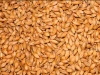 Ukrainian  barley