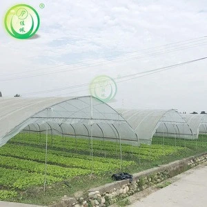 Vegetable Production Greenhouses China