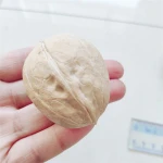 Walnut Kernels Nuts and kernels