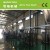 Import Waste PP PE film plastic recycling machine from China