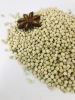 White Pepper From Vietnam With ASTA Quality  +84368591192