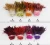 Import wholesale cheap 4.5-6 Inch dyed Red Rooster Saddles Feathers 50 pieces in a package for DIY ART and Draft dream catcher from China