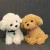 Import Wholesale Custom Best Made Cute Toys Plush Dog Stuffed Animals Soft Dog Plush Toys from China