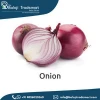 Wholesale Export Quality Fresh Red Onion