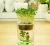 Import wholesale Gardening potted indoor desktop micro landscape ecological bottle creative glass bottle gift pot customization from China
