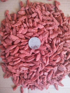 Wholesale in china dried fruit medlar red wolfberryand nuts herbal medicine