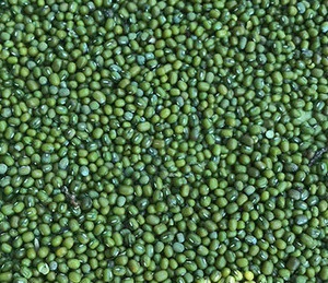 Wholesale Myanmar Vigna Green Mung Beans For Sprouting
