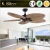 Import Wholesale Natural Style Fancy Palm Leaf Blade Fan Light Decorative Ceiling Fan With Light And Remote Control from China