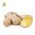 Import Wholesale organic agricultural product fresh air dried vegetables ginger from China