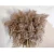 Wholesale Preserved Dried Pampas Grass natural decorative pampas grass Eternal Lasting Long dried flowers