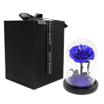 Yunnan Preserved Rose Flower With Gift Box Mini Prince 5-6CM for Valentine's Day