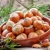 Import direct sales Natural Quality Raw hazelnuts Nuts from South Africa