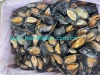 Frozen Cooked Half-Shell Blue Mussel