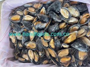 Frozen Cooked Half-Shell Blue Mussel