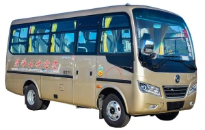 Dongfeng Chaolong Diesel Engine Bus 24 Passenger Seats City Bus Exported to Mauritius 40 Units Right Hand Steering
