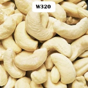 Roasted Cashew Nuts Premium Quality for Sale - W320
