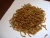 Import wild birds food dried mealworms from China