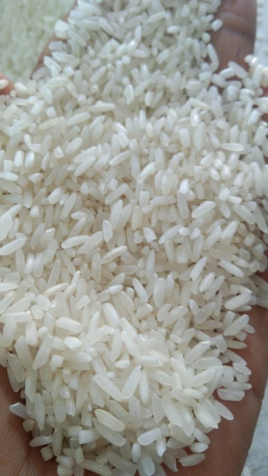 White rice  5% broken paraboiled rice non basmati, medium grain rice