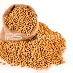 Soybeans – GMO & Non-GMO | Export Grade