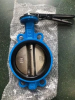 Standard and Customized Cast Iron Butterfly Valves for Low Pressure Pipeline