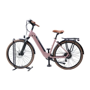 2025 Electric City Bike Step Thru Commute Ebike with 500W Rear Hub Motor On Road