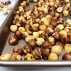Organic 100% Quality Hazelnuts in Shell & Kernels Dried Raw & Roasted Blanched for Food