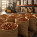 High Quality Organic Sweet Almonds Factory Direct Sale