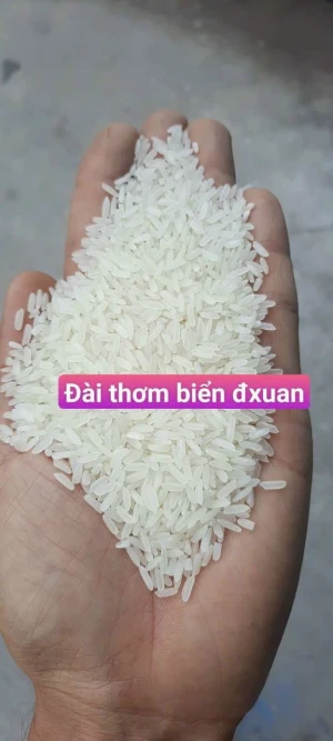 Long Grain rice DT8 (5% Broken)