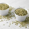 Organic Dal Green Lentils GMO-Free Dried Style Bulk Packaging