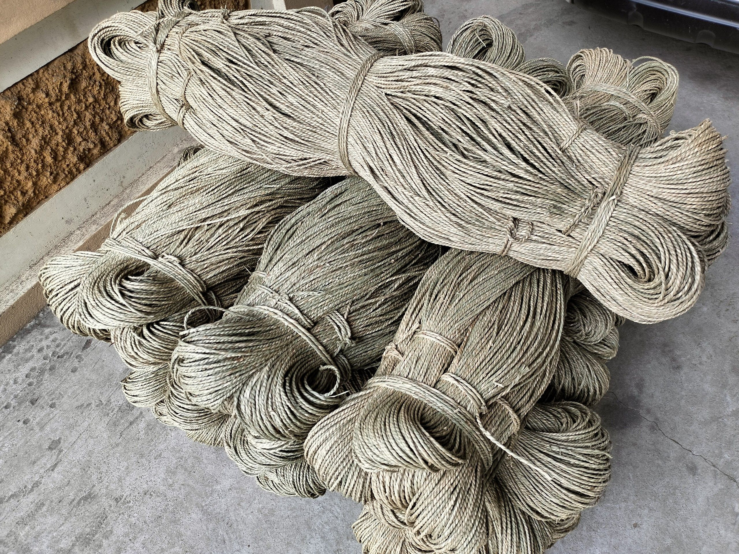 Seagarss Rope Buy Seagrass Rope from Company - Roxie Dang, Vietnam | Tradewheel.com