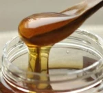 New Season 500GSidr Honey Pack Nature Fresh Jujube Honey Bottle Premium Quality Vital Raw Bee Honey for Men Packing in