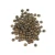 Import Organic Dal Green Lentils GMO-Free Dried Style Bulk Packaging from Tanzania