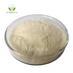 Food Additive 80% - 90% Chitosan Oligosaccharide Lactate Powder