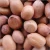 Import Runner Indian Peanut kernel from India