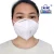Import High Efficiency Filter Protective Kn 95 Ffp2 Cilvil Mask with Particle Respirator from China
