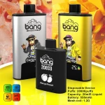 Bang 20K Replaceable Pod 550MAH Device Wide Range of Flavor Options Disposable Vape Wholesale | 550mAh Battery