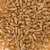 Import Pure and Natural Wheat Grains High-Protein Whole Wheat Ideal for Flour and Cereal Production from Malaysia