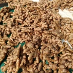 Share to Fresh Ginger / Yellow Ginger / Fresh Ginger Root / Organic Fresh Ginger