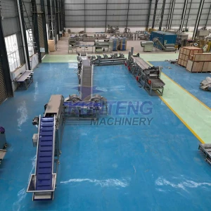Fully automatic potato strips banana slices okra puffed food frying equipment, potato chip snack frying production line