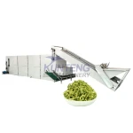 Industrial  distillers grains seaweed rhubarb bulbus fritillariae konjac ginkgo leaves mesh belt dryer